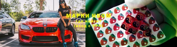 твердый Абаза