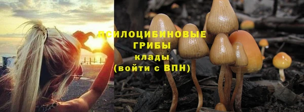 винт Абинск
