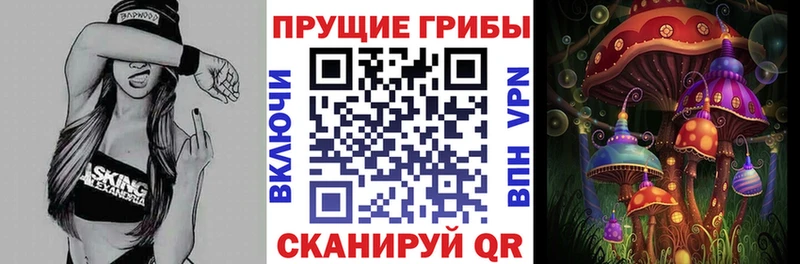 Псилоцибиновые грибы Magic Shrooms  цена   ОМГ ОМГ сайт  Вичуга 