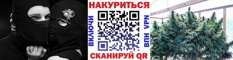 блэк спрут онион  Вичуга  Марихуана OG Kush  купить закладку 